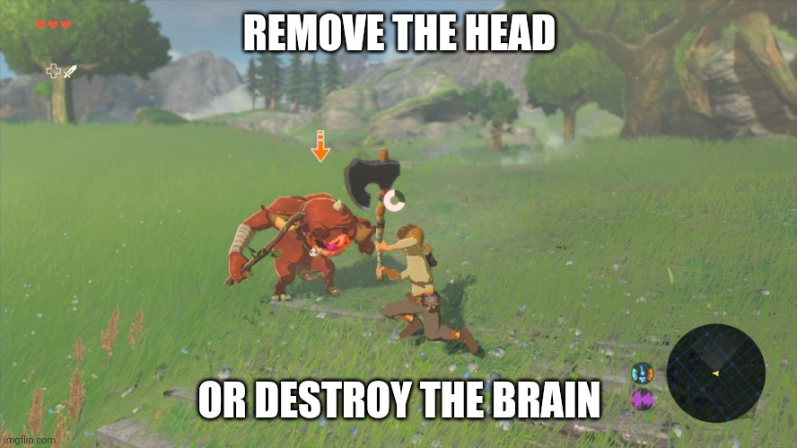 REMOVE THE HEAD OR DESTROY THE BRAIN | made w/ Imgflip meme maker