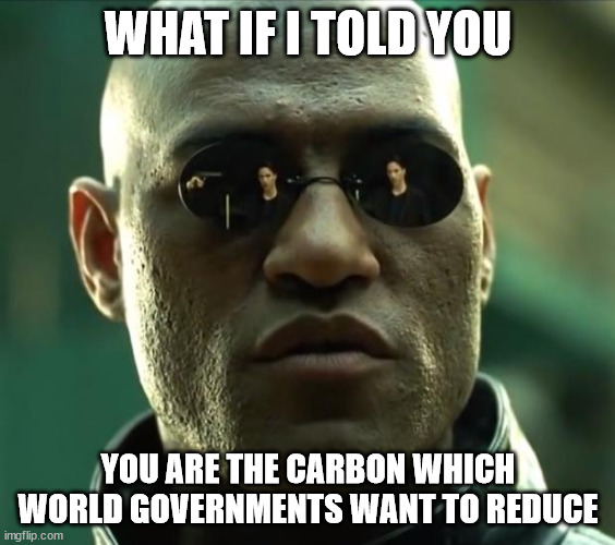 Morpheus  | WHAT IF I TOLD YOU; YOU ARE THE CARBON WHICH WORLD GOVERNMENTS WANT TO REDUCE | image tagged in morpheus | made w/ Imgflip meme maker