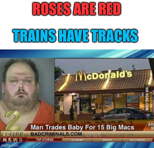 What an idiot ;) | ROSES ARE RED; TRAINS HAVE TRACKS | image tagged in memes,funny,roses are red,funny news headlines,wait what,lmao,FreeKarma4U | made w/ Imgflip meme maker