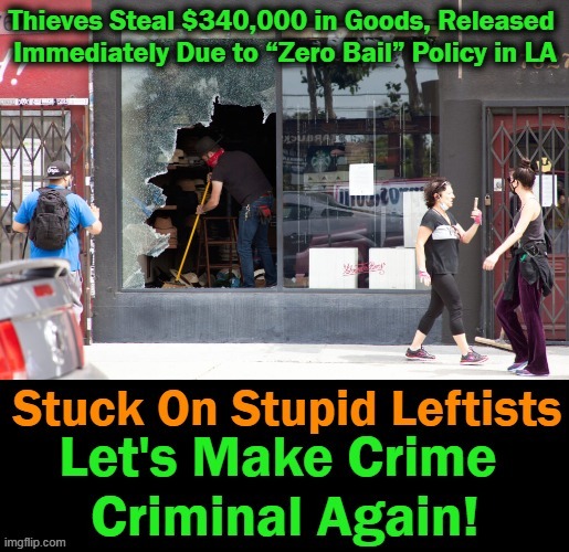 SOS....What Is The Matter With You Leftists??? | image tagged in politics,democratic socialism,leftists,liberalism,crime,los angeles | made w/ Imgflip meme maker