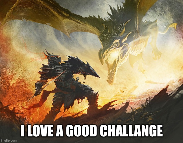 I LOVE A GOOD CHALLANGE | made w/ Imgflip meme maker