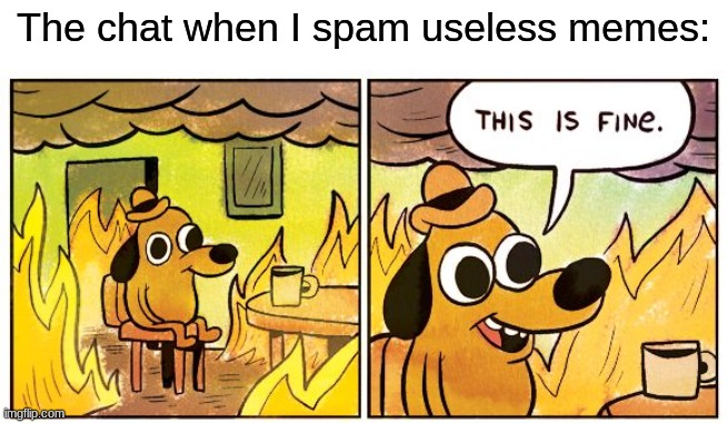 i actually have a day reserved for this | The chat when I spam useless memes: | image tagged in memes,this is fine | made w/ Imgflip meme maker