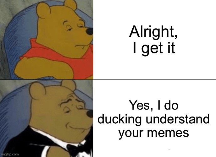Tuxedo Winnie The Pooh Meme | Alright, I get it Yes, I do ducking understand your memes | image tagged in memes,tuxedo winnie the pooh | made w/ Imgflip meme maker