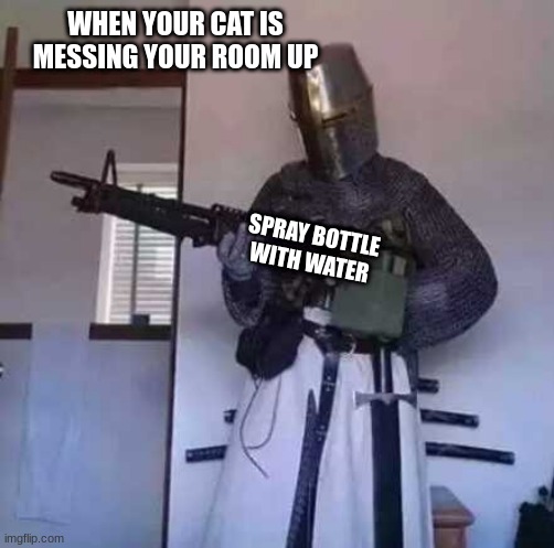 Crusader knight with M60 Machine Gun | WHEN YOUR CAT IS MESSING YOUR ROOM UP; SPRAY BOTTLE WITH WATER | image tagged in crusader knight with m60 machine gun | made w/ Imgflip meme maker