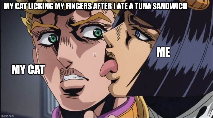 this is the taste of a liar ! | MY CAT LICKING MY FINGERS AFTER I ATE A TUNA SANDWICH; ME; MY CAT | image tagged in this is the taste of a liar | made w/ Imgflip meme maker