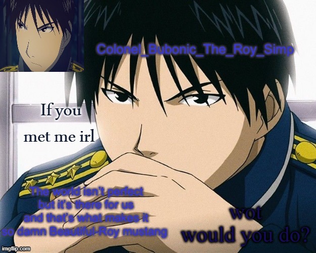 Yall should know him by now | If you met me irl; wot would you do? | image tagged in yall should know him by now | made w/ Imgflip meme maker