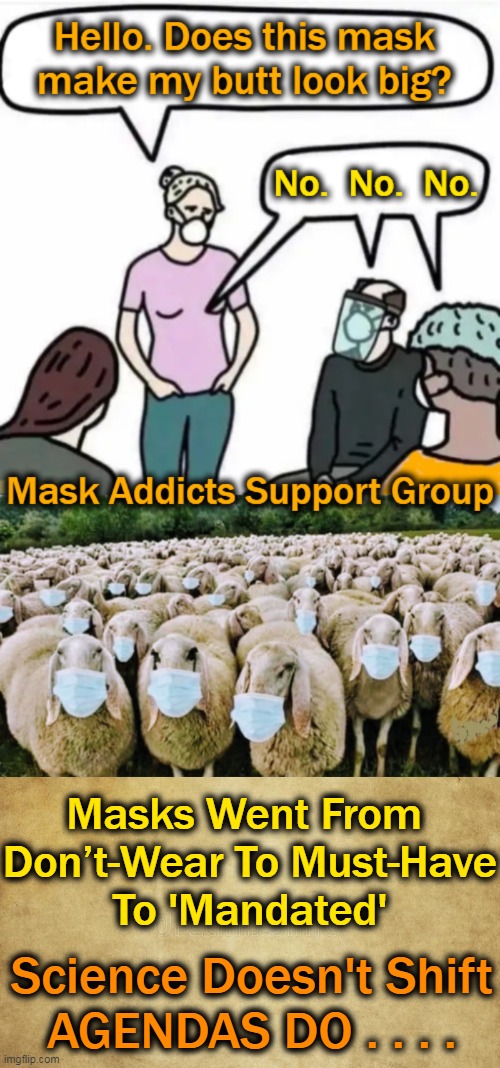 The Agenda is All About Control, Censorship & Coercion . . . . | Masks Went From 
Don’t-Wear To Must-Have
To 'Mandated'; Science Doesn't Shift

AGENDAS DO . . . . | image tagged in political meme,censorship,coercion,mind control,leftists,science | made w/ Imgflip meme maker
