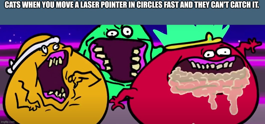 Crazy Things | CATS WHEN YOU MOVE A LASER POINTER IN CIRCLES FAST AND THEY CAN'T CATCH IT. | image tagged in crazy things | made w/ Imgflip meme maker