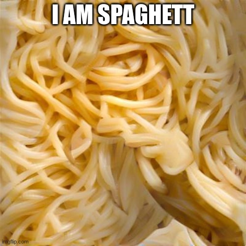 I am spaghett | I AM SPAGHETT | image tagged in spaghet,spaghetti | made w/ Imgflip meme maker