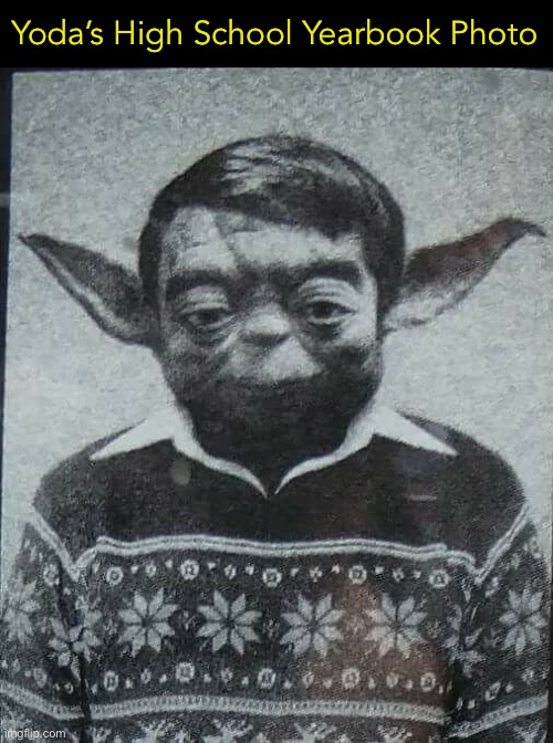 Voted Most Likely To Succeed |  Yoda’s High School Yearbook Photo | image tagged in funny memes,star wars yoda | made w/ Imgflip meme maker