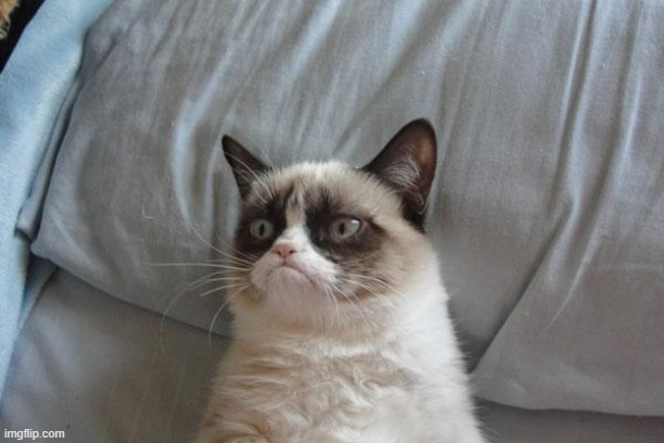 Grumpy Cat Bed Meme | image tagged in memes,grumpy cat bed,grumpy cat | made w/ Imgflip meme maker