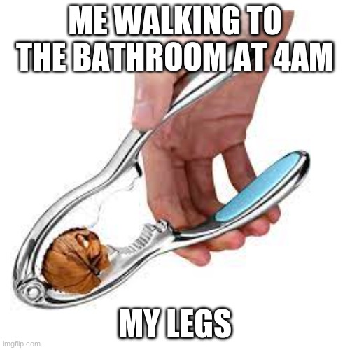 knut crakker |  ME WALKING TO THE BATHROOM AT 4AM; MY LEGS | image tagged in nuts | made w/ Imgflip meme maker