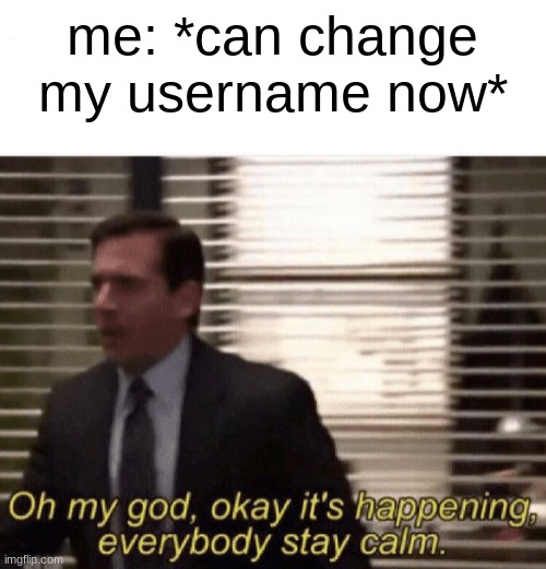 qhat should it be? | me: *can change my username now* | image tagged in oh my god okay it's happening everybody stay calm | made w/ Imgflip meme maker