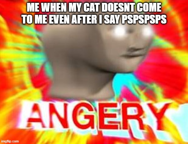 *sad and angery noises intensifies* |  ME WHEN MY CAT DOESNT COME TO ME EVEN AFTER I SAY PSPSPSPS | image tagged in surreal angery,angery,cats,funny because it's true,funny,upvote if you agree | made w/ Imgflip meme maker