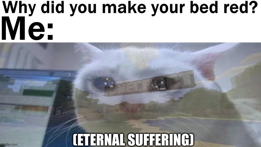 What i would give to go back. | (ETERNAL SUFFERING) | image tagged in minecraft,nostalgia,funny,fun,memes | made w/ Imgflip meme maker