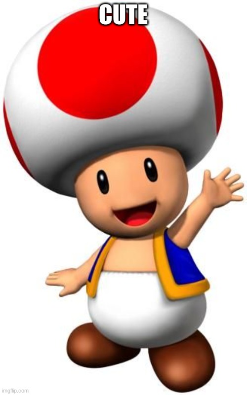 Toad | CUTE | image tagged in toad | made w/ Imgflip meme maker