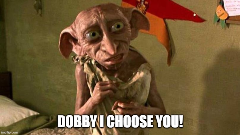 DOBBY I CHOOSE YOU! | image tagged in dobby harry potter | made w/ Imgflip meme maker