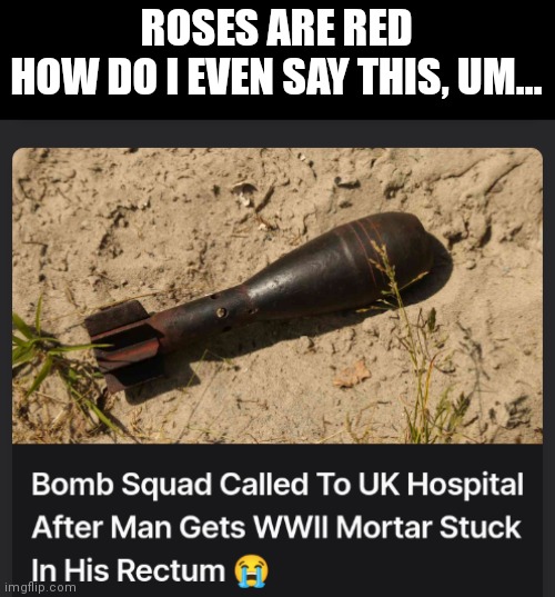 He probably had explosive diarrhea after the fact | ROSES ARE RED
HOW DO I EVEN SAY THIS, UM... | image tagged in roses are red,ww2,mortar | made w/ Imgflip meme maker