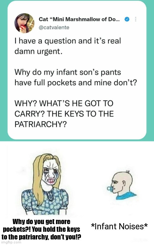 Future kids are fucked. | *Infant Noises*; Why do you get more pockets?! You hold the keys to the patriarchy, don't you!? | image tagged in memes,crazy bitch,funny memes | made w/ Imgflip meme maker