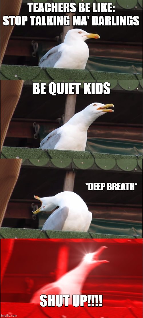 Way too accurate | TEACHERS BE LIKE:
STOP TALKING MA' DARLINGS; BE QUIET KIDS; *DEEP BREATH*; SHUT UP!!!! | image tagged in memes,inhaling seagull | made w/ Imgflip meme maker