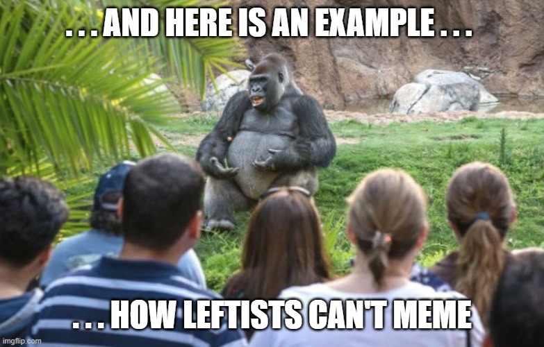 ted talk gorilla | . . . AND HERE IS AN EXAMPLE . . . . . . HOW LEFTISTS CAN'T MEME | image tagged in ted talk gorilla | made w/ Imgflip meme maker
