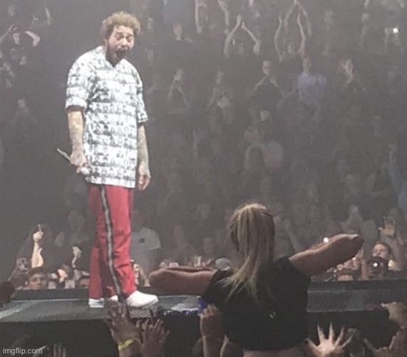 Post ma l o n e | image tagged in post maone saw boobs | made w/ Imgflip meme maker