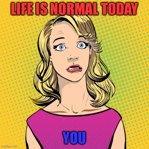 No you didn’t | LIFE IS NORMAL TODAY; YOU | image tagged in no you didn t | made w/ Imgflip meme maker