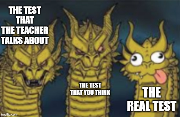 School Tests | THE TEST THAT THE TEACHER TALKS ABOUT; THE REAL TEST; THE TEST THAT YOU THINK | image tagged in 3 dragon heads | made w/ Imgflip meme maker