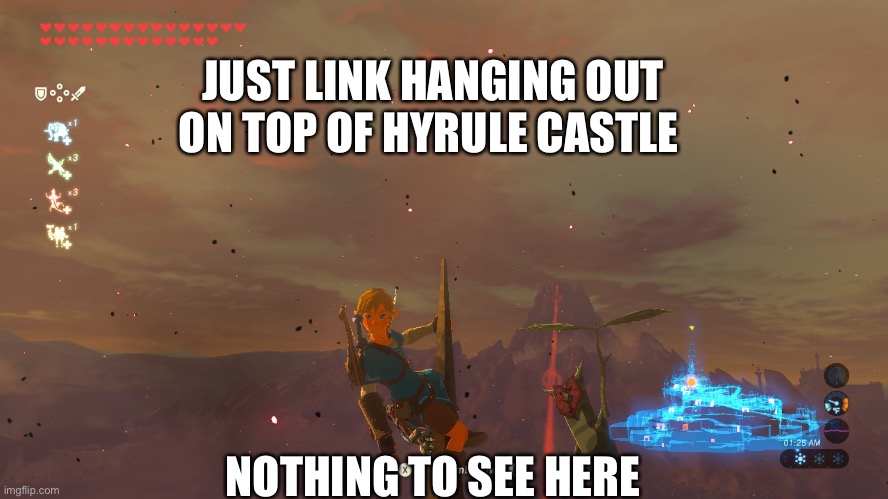 JUST LINK HANGING OUT ON TOP OF HYRULE CASTLE; NOTHING TO SEE HERE | image tagged in the legend of zelda breath of the wild,the legend of zelda,legend of zelda | made w/ Imgflip meme maker