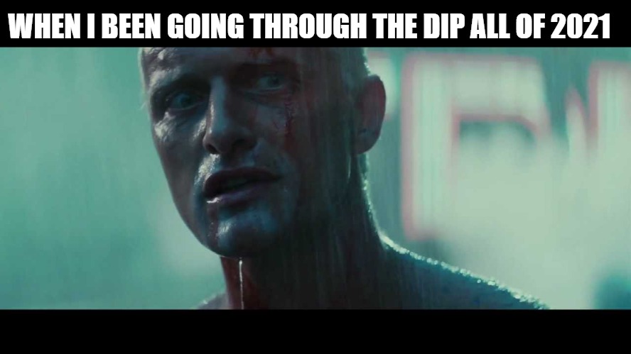 I CAN SEE FAR AND WIDE | WHEN I BEEN GOING THROUGH THE DIP ALL OF 2021 | image tagged in rutger hauer blade runner tears in the rain | made w/ Imgflip meme maker