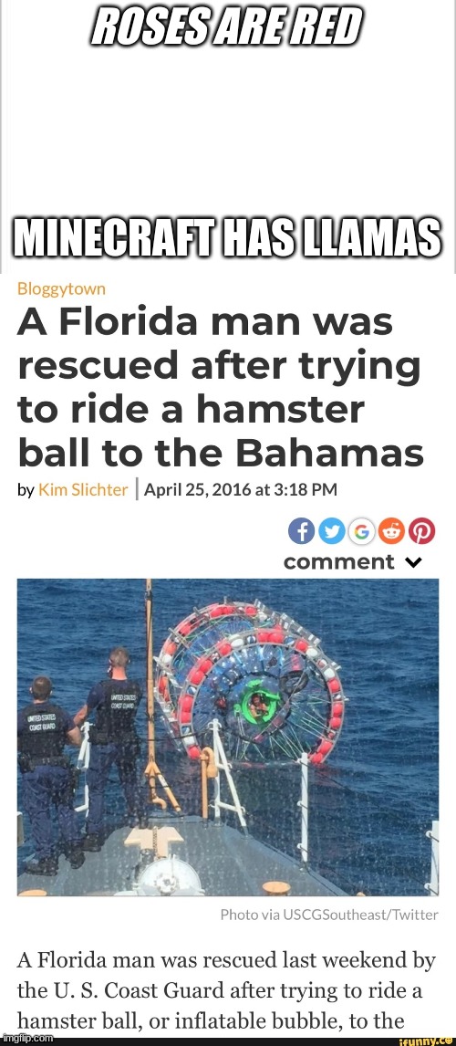 ROSES ARE RED; MINECRAFT HAS LLAMAS | image tagged in white background,florida man,memes,fun | made w/ Imgflip meme maker