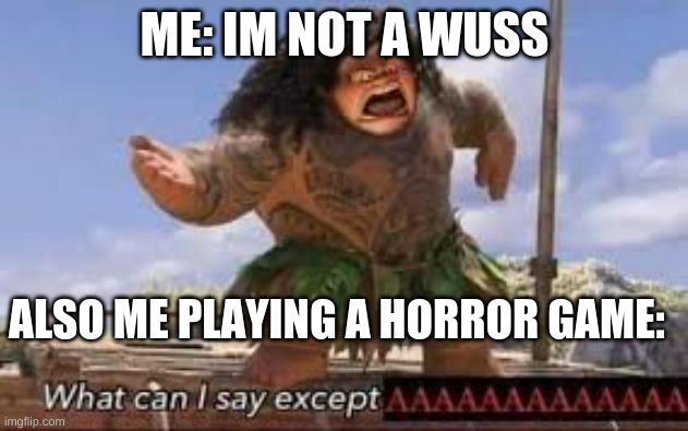 AAAAAAAAAAAAAAAAAAAAAAAAAAAAAAAAAAAAAAAAAAAAH | ME: IM NOT A WUSS; ALSO ME PLAYING A HORROR GAME: | image tagged in what can i say except aaaaaaaaaaa,reeeeeeeeeeeeeeeeeee,stop reading,i said stop | made w/ Imgflip meme maker