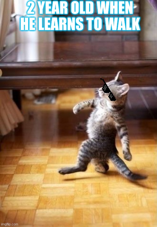 Cool Cat Stroll |  2 YEAR OLD WHEN HE LEARNS TO WALK | image tagged in memes,cool cat stroll | made w/ Imgflip meme maker