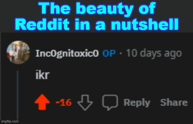 . | The beauty of Reddit in a nutshell | made w/ Imgflip meme maker