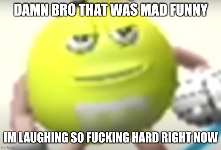 Bro that was mad funny | DAMN BRO THAT WAS MAD FUNNY IM LAUGHING SO FUCKING HARD RIGHT NOW | image tagged in bro that was mad funny | made w/ Imgflip meme maker