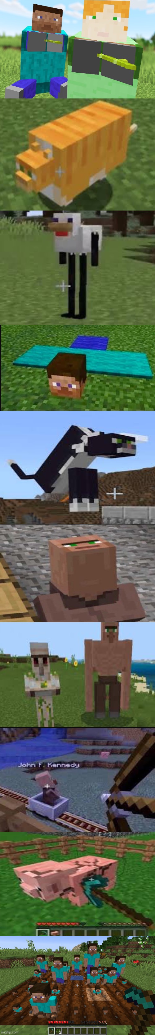 CuRsEd Minecraft images | image tagged in cursed,cursed minecraft | made w/ Imgflip meme maker