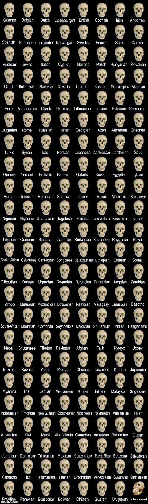 Deformed skull |  obsidiansif | image tagged in deformed skull | made w/ Imgflip meme maker