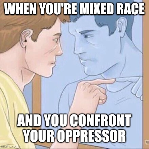 Pointing mirror guy | WHEN YOU'RE MIXED RACE; AND YOU CONFRONT YOUR OPPRESSOR | image tagged in pointing mirror guy | made w/ Imgflip meme maker