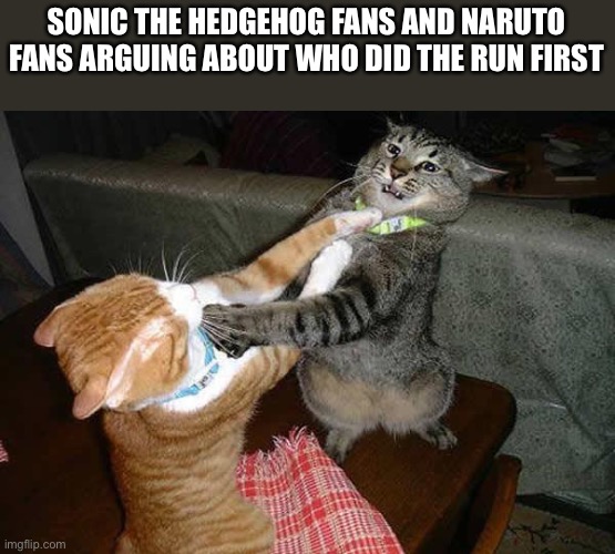 Two cats fighting for real | SONIC THE HEDGEHOG FANS AND NARUTO FANS ARGUING ABOUT WHO DID THE RUN FIRST | image tagged in two cats fighting for real,sonic the hedgehog,naruto,naruto run,sonic run | made w/ Imgflip meme maker