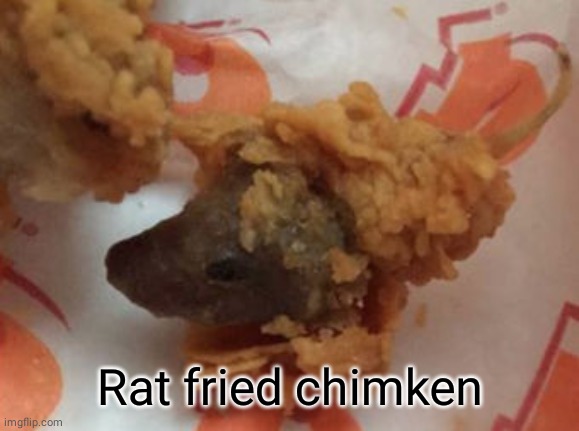 Rat fried chimken | Rat fried chimken | image tagged in rat,fried chicken,memes,funny,popeyes,lol so funny | made w/ Imgflip meme maker