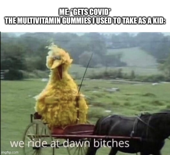 We ride at dawn bitches | ME: *GETS COVID*
THE MULTIVITAMIN GUMMIES I USED TO TAKE AS A KID: | image tagged in we ride at dawn bitches | made w/ Imgflip meme maker