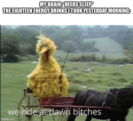 We ride at dawn bitches | MY BRAIN: *NEEDS SLEEP*
THE EIGHTEEN ENERGY DRINKS I TOOK YESTERDAY MORNING: | image tagged in we ride at dawn bitches | made w/ Imgflip meme maker