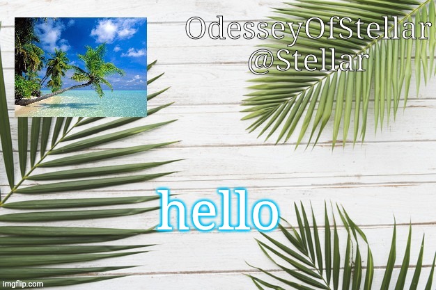 palms | hello | image tagged in palms | made w/ Imgflip meme maker