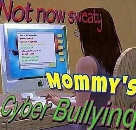 Not now sweaty mommy's cyberbullying Blank Meme Template