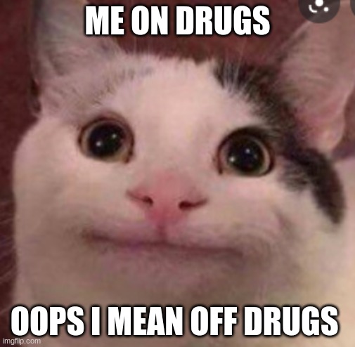 Beluga | ME ON DRUGS; OOPS I MEAN OFF DRUGS | image tagged in funny,cats | made w/ Imgflip meme maker