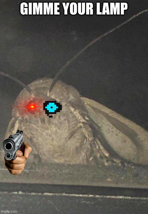 gimme the light brother moth | GIMME YOUR LAMP | image tagged in moth | made w/ Imgflip meme maker