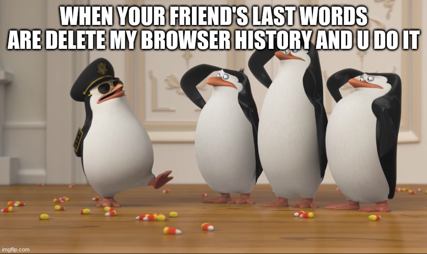 Saluting skipper | WHEN YOUR FRIEND'S LAST WORDS ARE DELETE MY BROWSER HISTORY AND U DO IT | image tagged in saluting skipper | made w/ Imgflip meme maker