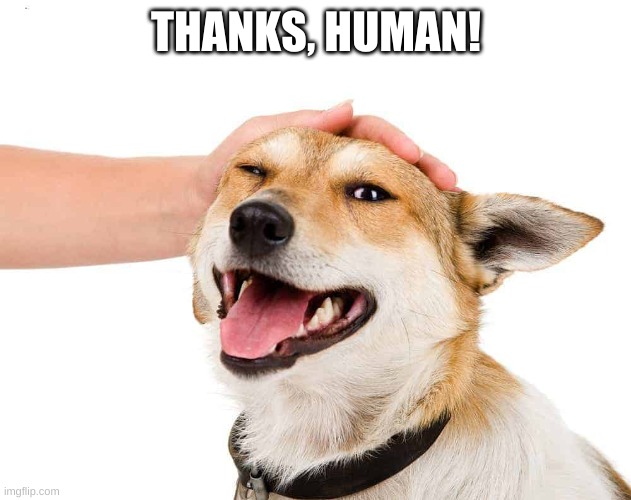 Petting a Dog | THANKS, HUMAN! | image tagged in petting a dog | made w/ Imgflip meme maker