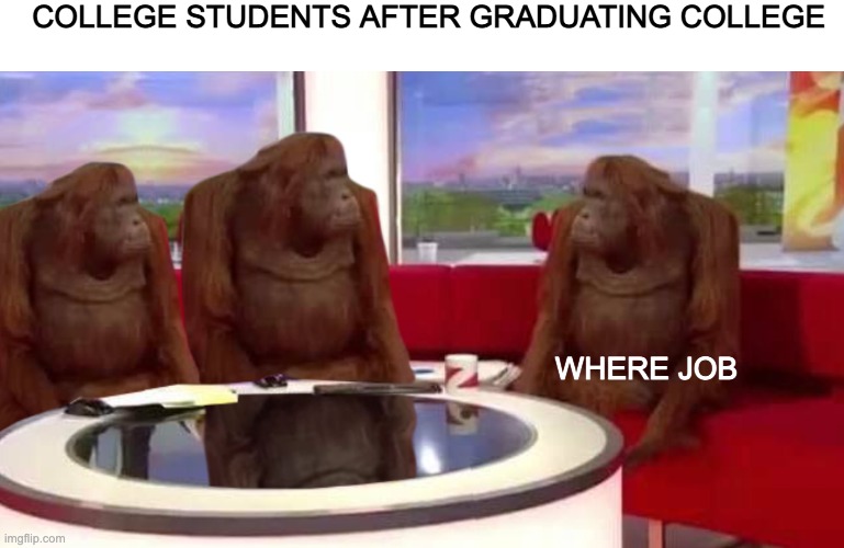 where job? | COLLEGE STUDENTS AFTER GRADUATING COLLEGE; WHERE JOB | image tagged in where monkey | made w/ Imgflip meme maker