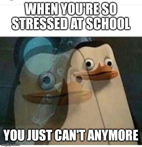 Me rn: | WHEN YOU'RE SO STRESSED AT SCHOOL; YOU JUST CAN'T ANYMORE | image tagged in madagascar meme,school,middle school,help | made w/ Imgflip meme maker